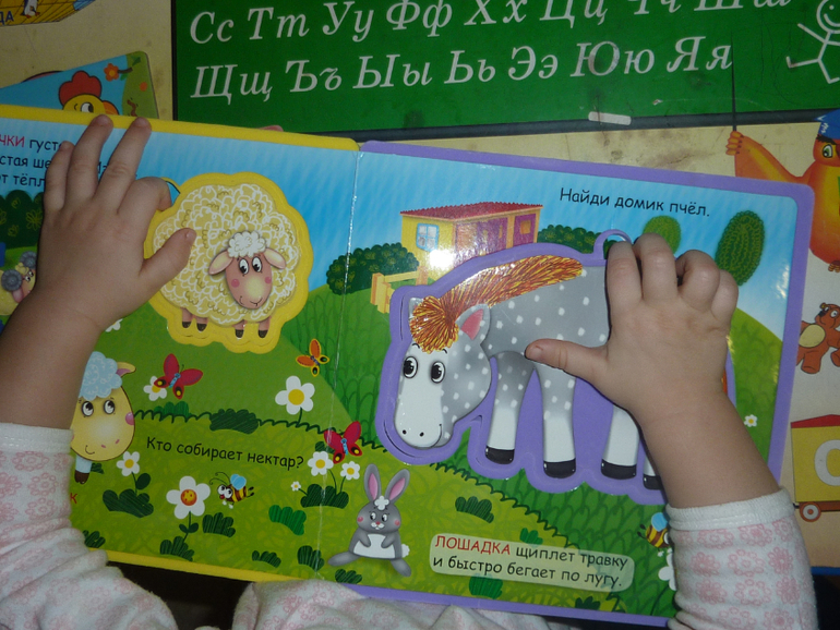 День 4. Яйцо.