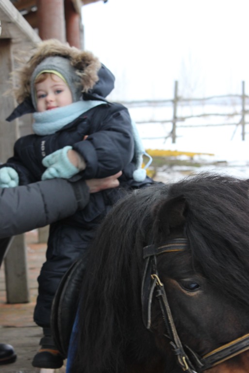 Поездка с классом в Дмитровку )  и школьная