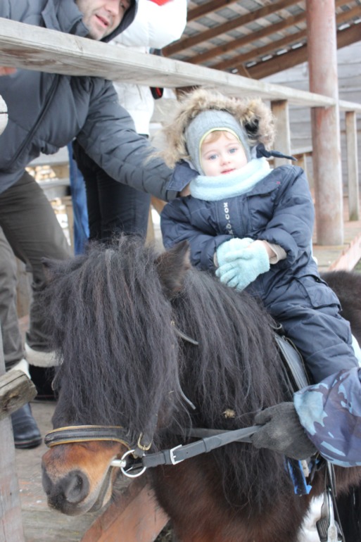 Поездка с классом в Дмитровку )  и школьная