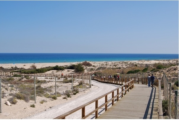 Сдаю дом в Испании (Санта Пола)