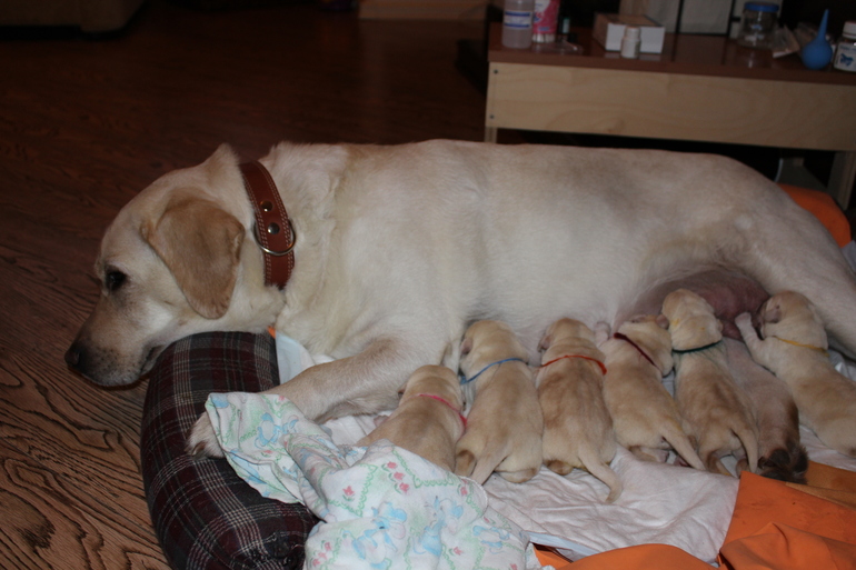 Наши новости