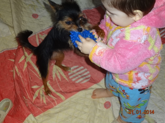 а моя крошка нашла себе новую игру