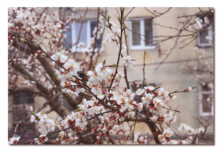 Первый день весны!