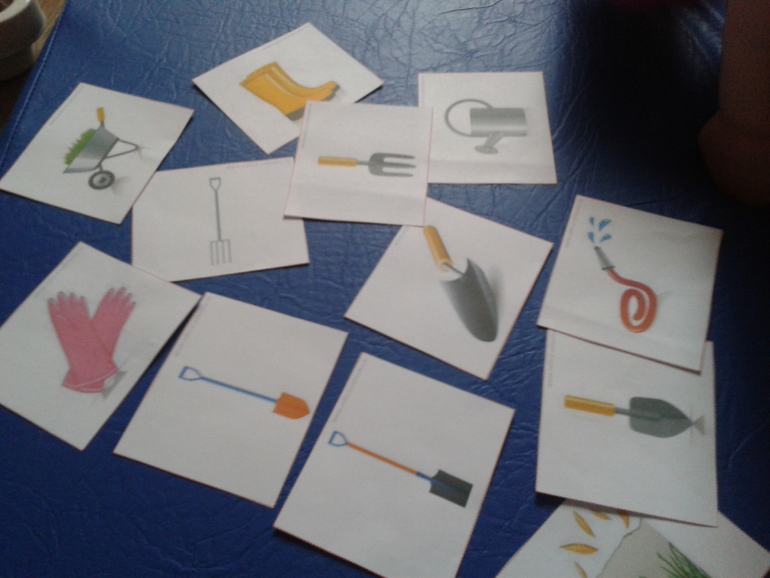 ТН Овощи - День 1