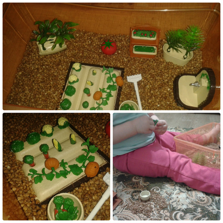 ТН Овощи - День 1