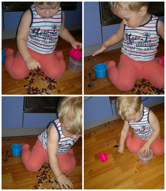 ТН "Овощи". День 3.