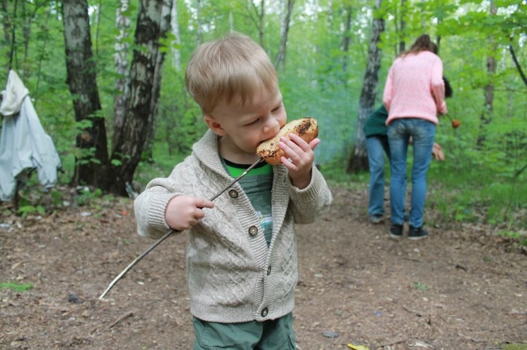 Кормить или не кормить !?