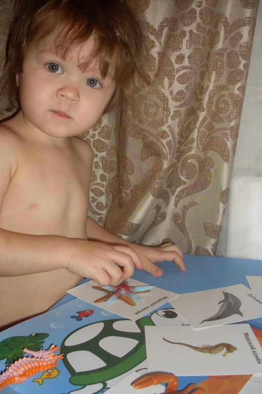 Наш досуг!!!!!! Морские приключения!