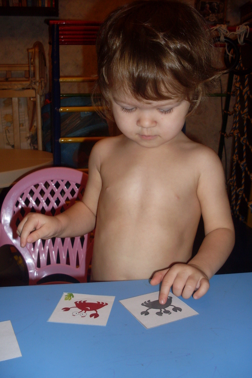 Наш досуг!!!!!! Морские приключения!