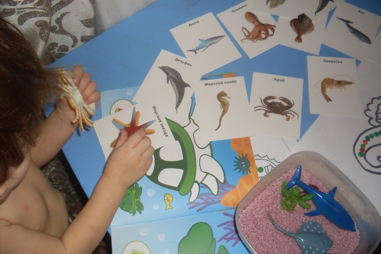 Наш досуг!!!!!! Морские приключения!