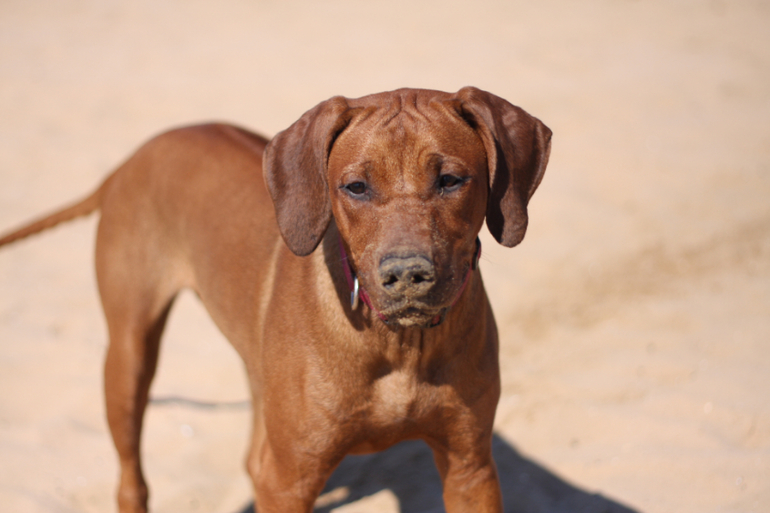 а мы купались