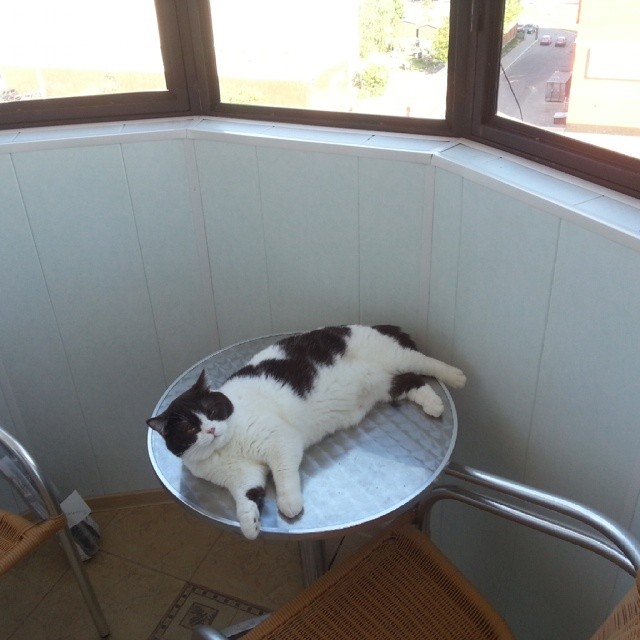 Стричь или не стричь?