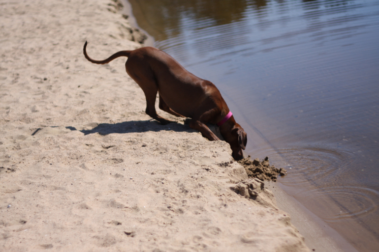 а мы купались