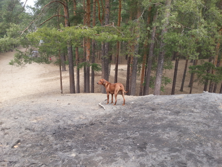 Мы тут, мы не пропали :)