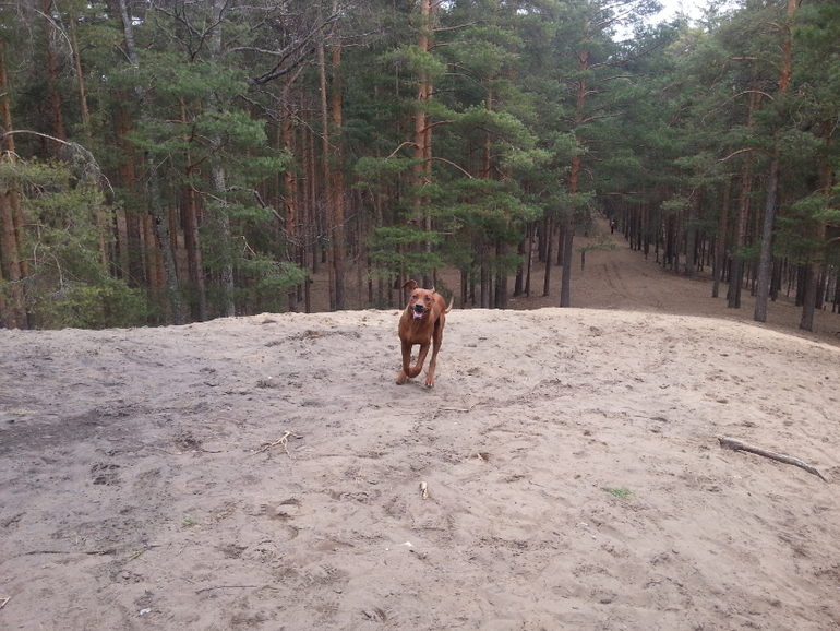 Мы тут, мы не пропали :)