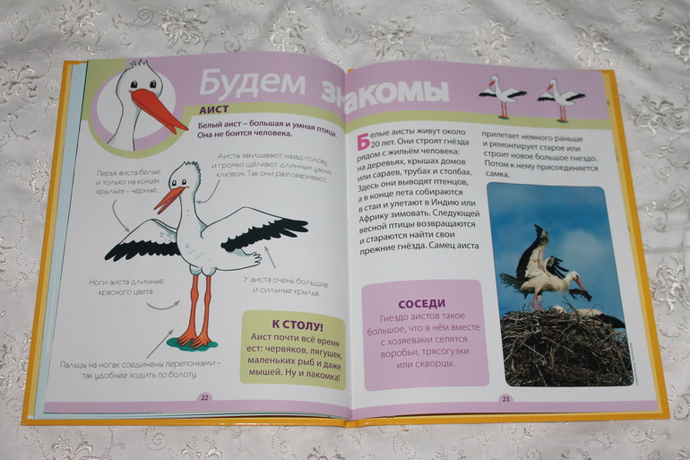 Развивающая коллекция