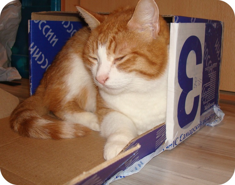 Спасибо нашему Деду Морозу!