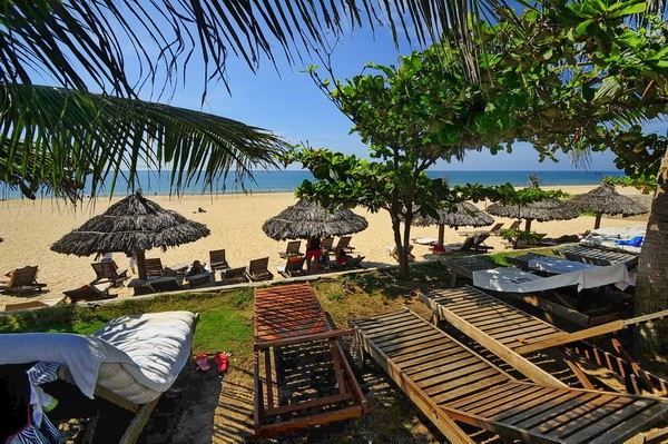 Новый год во Вьетнаме: Sea Lion Beach 4* по специальной цене!