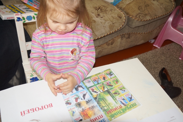 2-й день ФМ "Птицы"