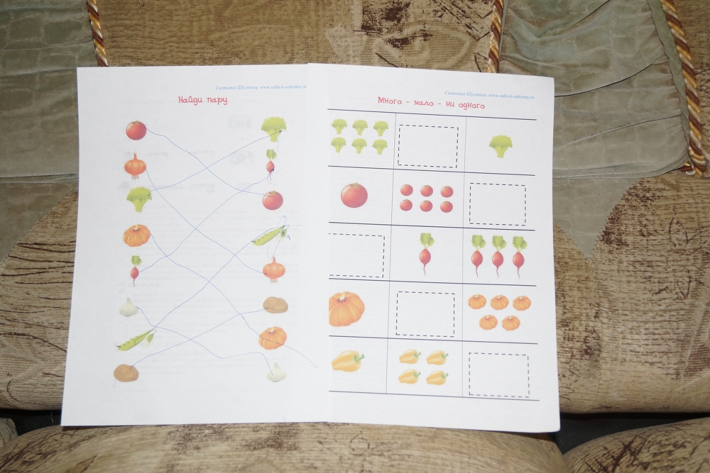 4-й день ФМ Овощи