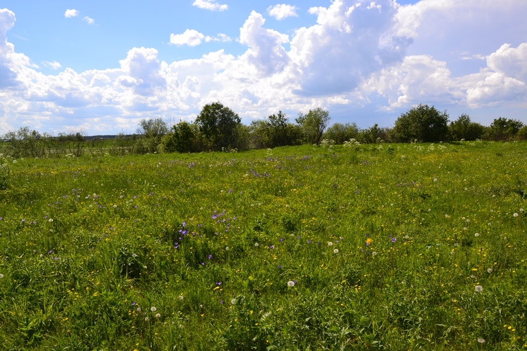 Шашлык с сухим маринадом.