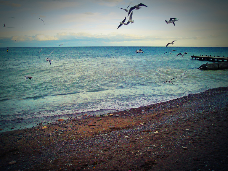 Контрольное задание № 30. Создаем ЛОМО снимок