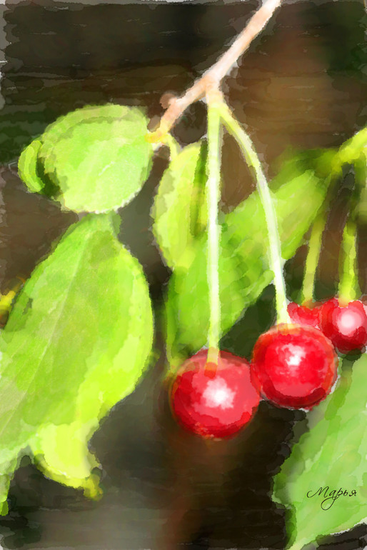 Контрольное задание № 22. Превращаем фотографию в акварельный рисунок