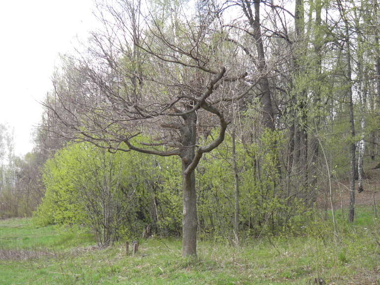 Контрольное задание № 24. Корректирование снимка с помощью нейтрального цвета, а так же черной и белой точки