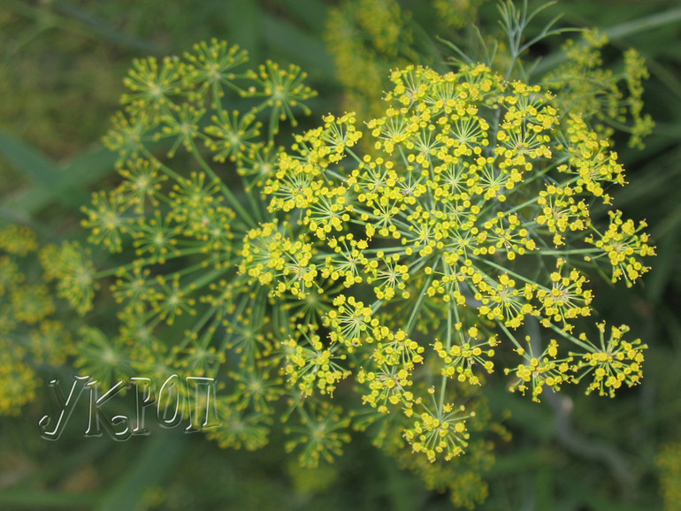 Контрольное задание № 12. Имитируем объём и глубину