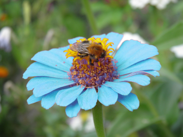 Контрольное задание № 20. Меняем цвет в Photoshop