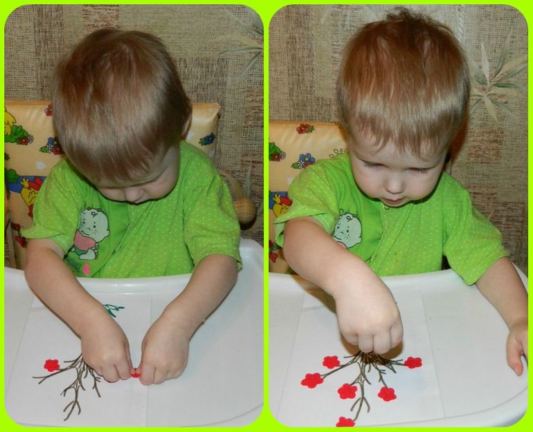 ТН Дерево в разное время года.