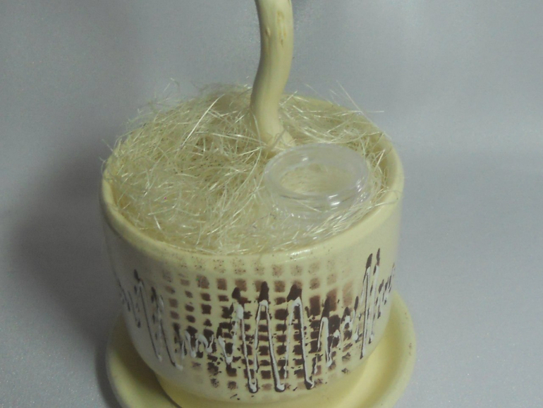 Топиарии в наличии, ждут своих хозяев!