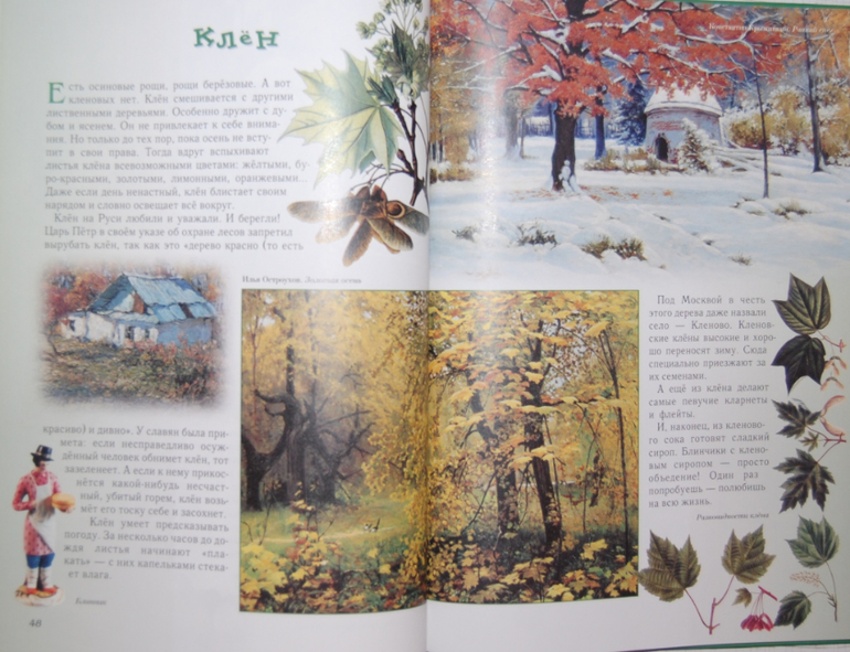 Энциклопедии для детей