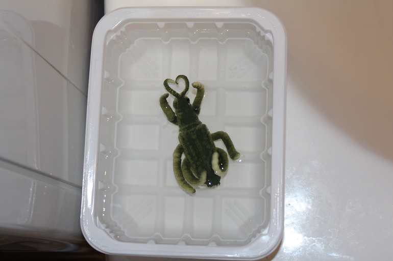 ФМ "Весенний переполох"