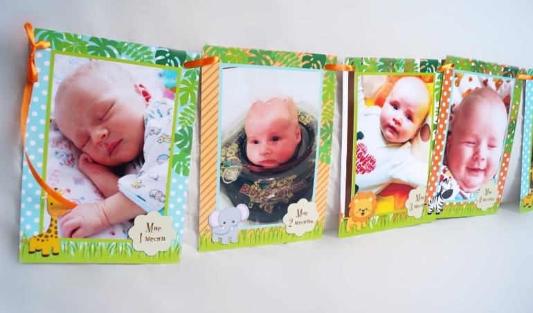 Новый набор "Сафари"