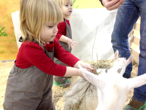 О том, как мы тискали зверюшек