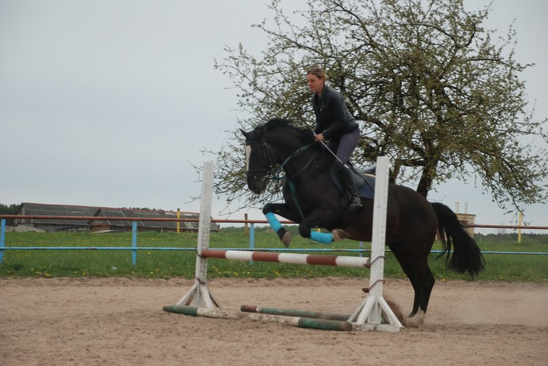 Мое хобби и любовь всей жизни!