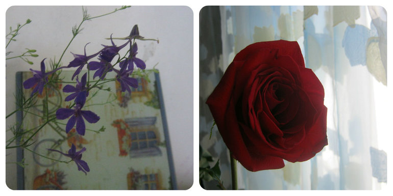 Одно День Рождение, два торта и два букета