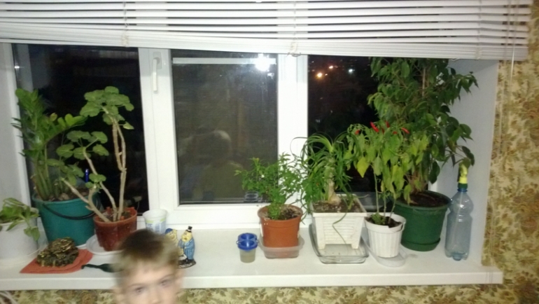 Взлет 69/29 исправленный