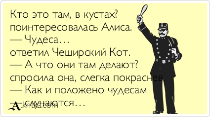 Взлет 73. День 11.