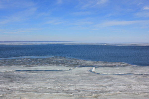 Когда у папы выходной, а на улице хорошая погода)