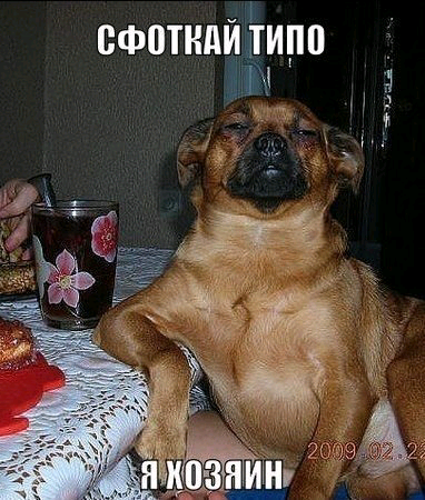 Щедроты "Юмора"