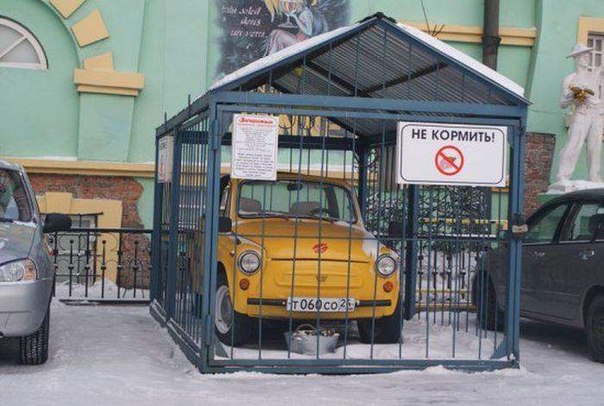 Мужчины шутят