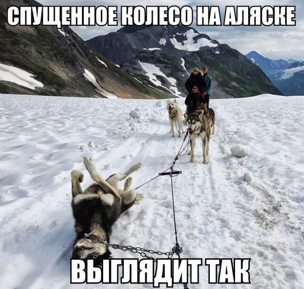 Мужчины шутят