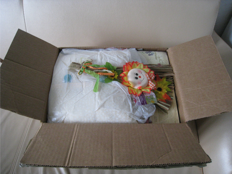 Обмен подушками. А у нас СУПЕР-МЕГА посылка!!!