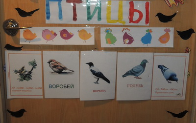 ТН №17 Птицы. 1 год 6 месяцев