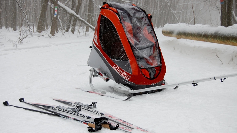 Вариант тренировки молодых родителей фанатично любящим беговые лыжи