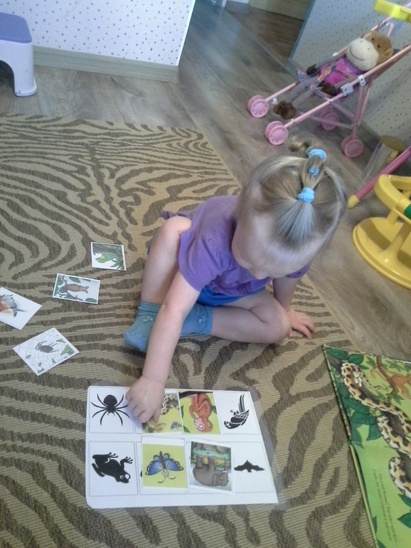 Читаем и играем. Д.Дональдсон. "Хочу к маме"