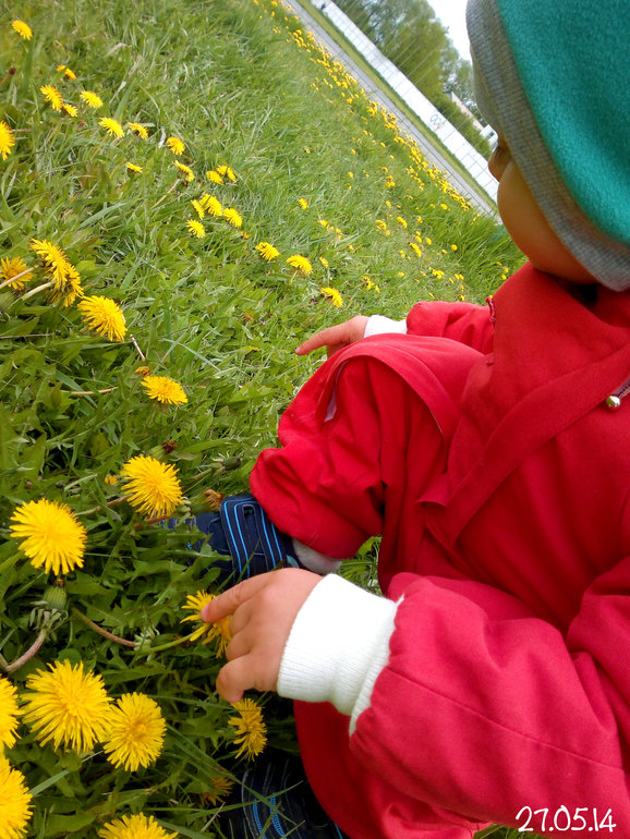 ФотоДневник. 27 мая 2014