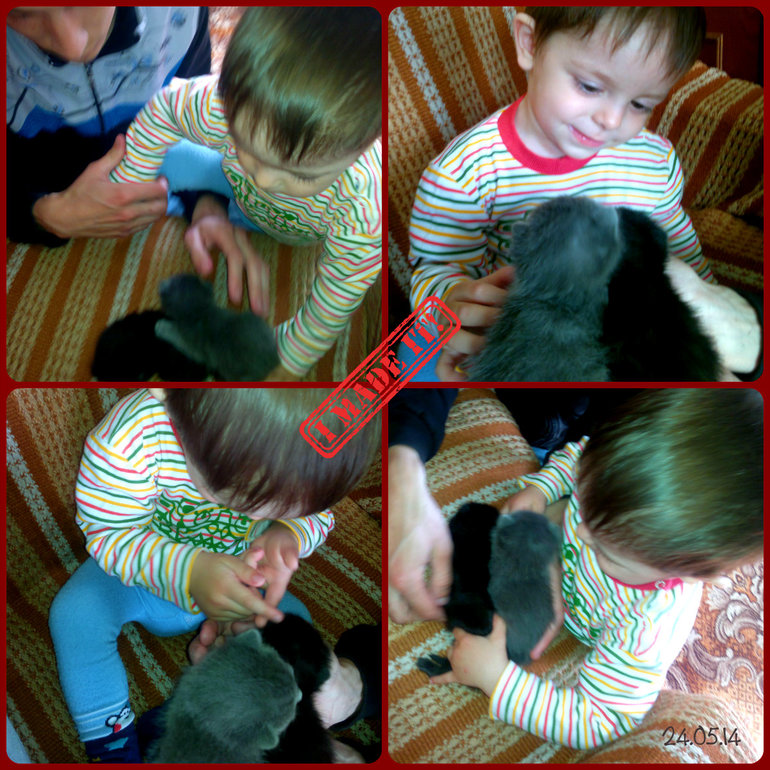 ФотоДневник. 24 мая 2014